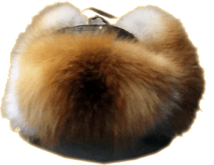 fur hat