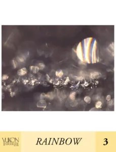 3-1_Canadian_furs_Toronto_furs_store_YukonFur_Coats_Jackets_Made_To_Measure_1667_Dundas_St_W_Toronto_ON_M6K1V2_416-598-3501_Portraits_of_Earth_Collection_Rainbow