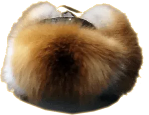 fur hat