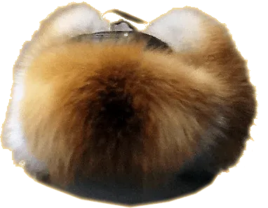 fur hat